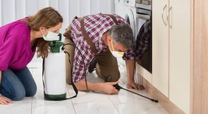 Pest Control: What to Expect During Your Pest Control Treatment